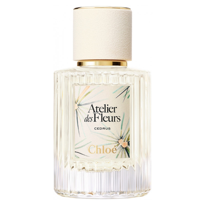 Chloé Atelier des Fleurs Cedrus