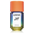 Loewe Paula’s Ibiza Eclectic